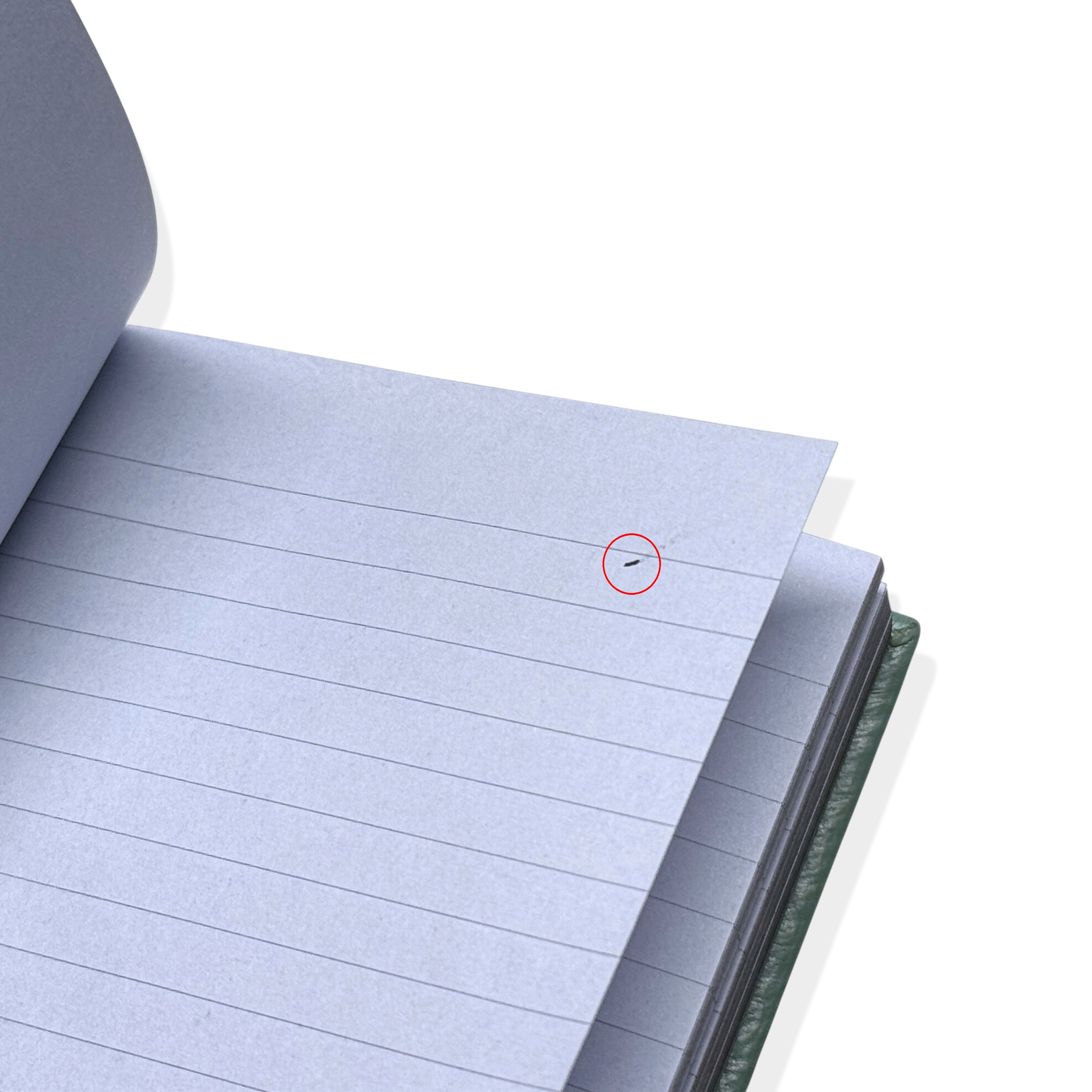 Audemars Piguet X Smythson Panama Notizbuch Journal in Petrol-Grün