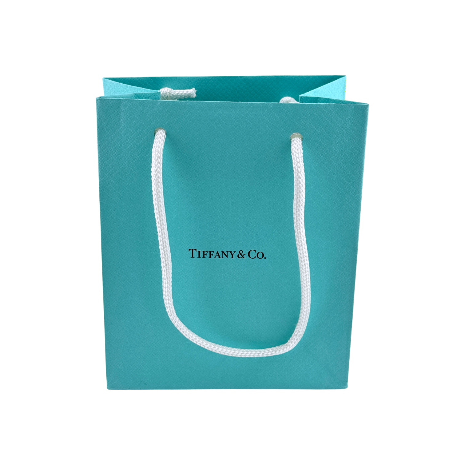 Tiffany & Co. small retail bag
