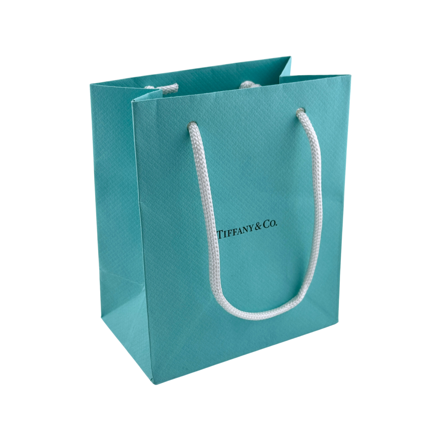 Tiffany & Co. small retail bag