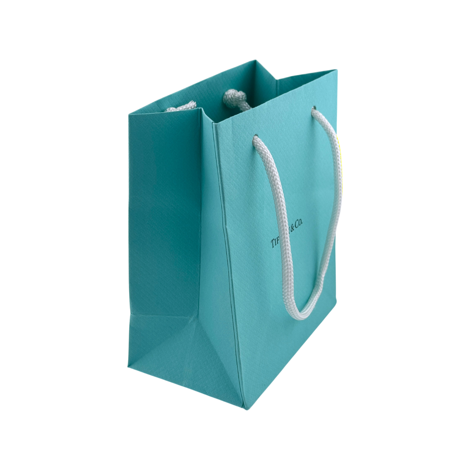 Tiffany & Co. small retail bag