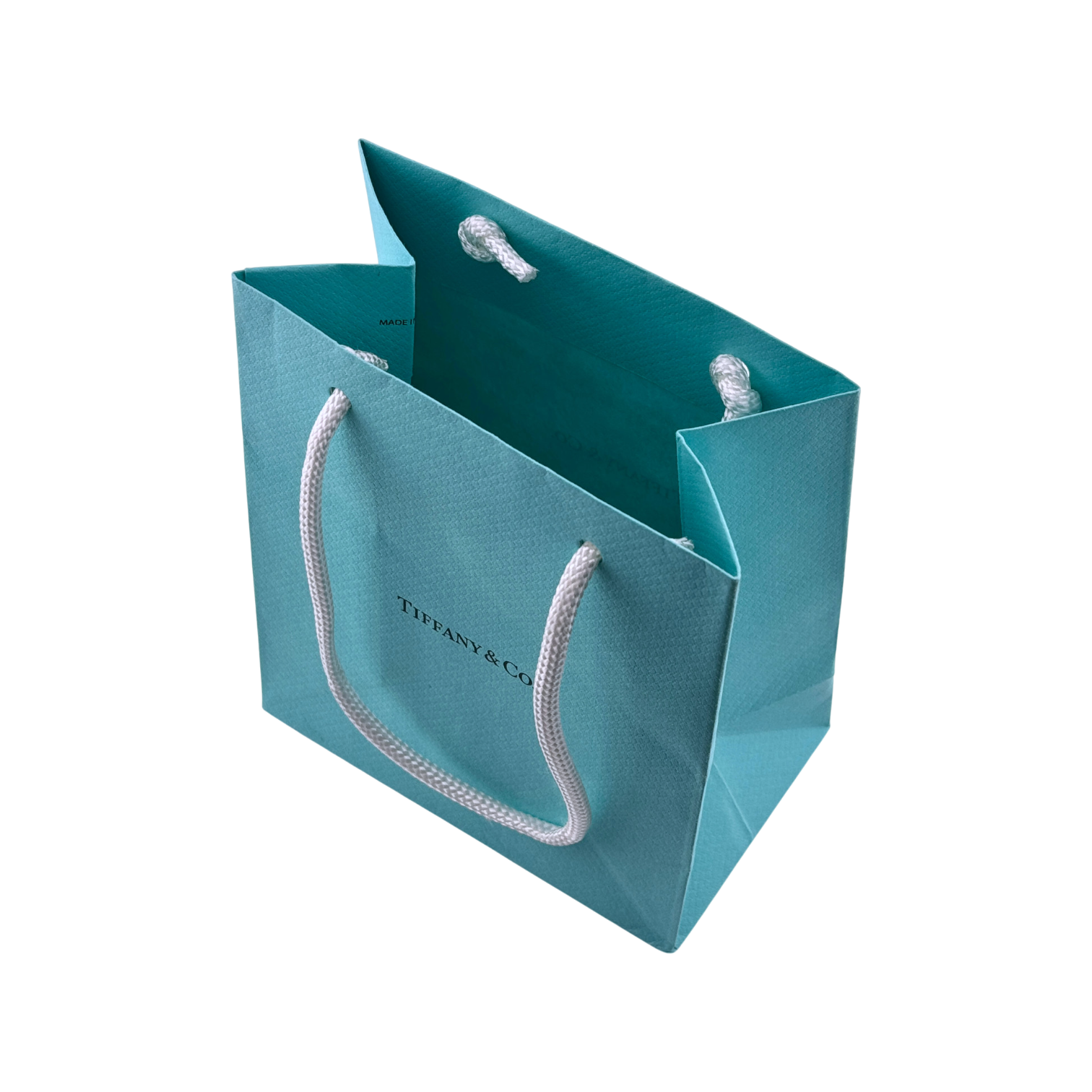 Tiffany & Co. small retail bag