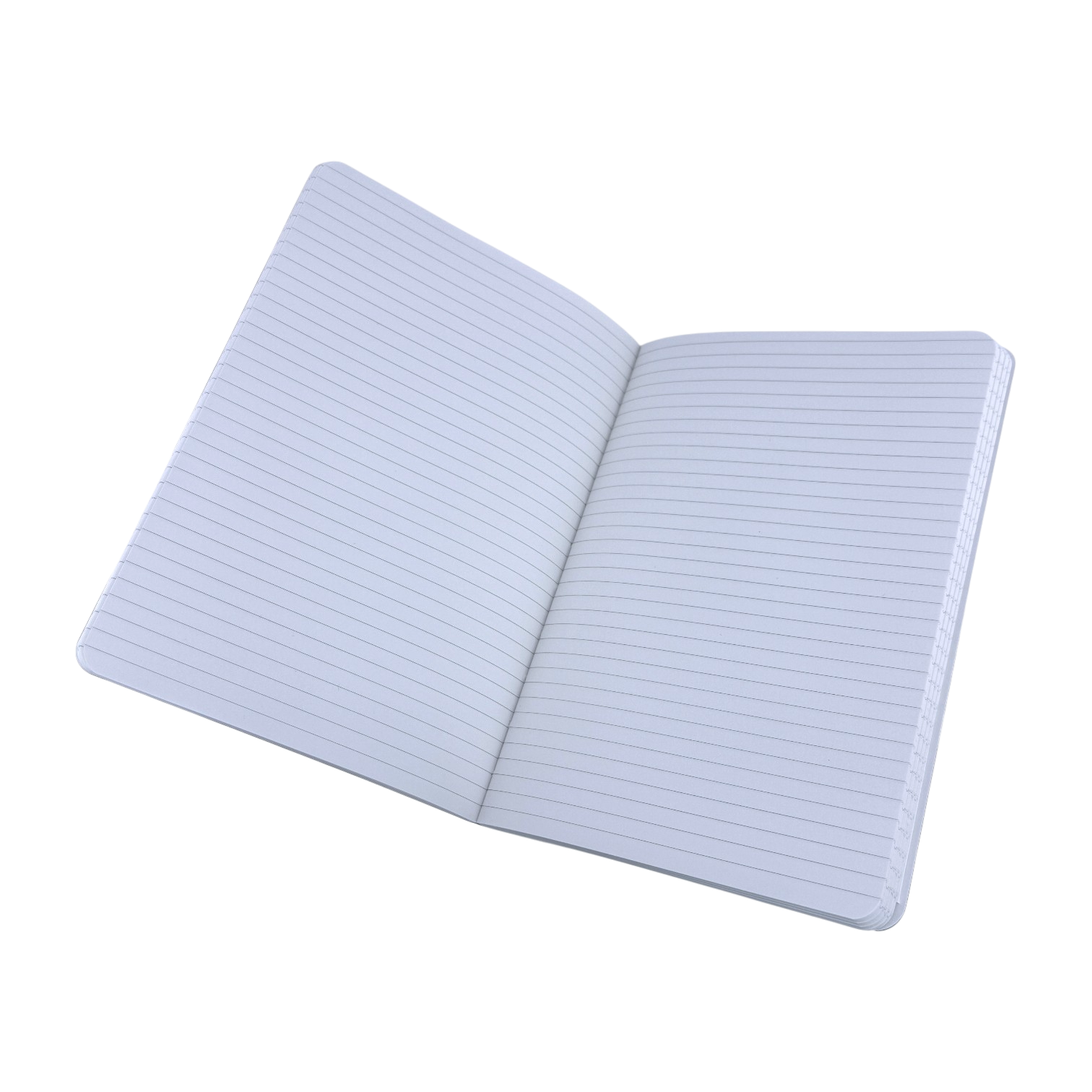 Audemars Piguet Notizbuch Notizheft Notizjournal Schwarz 100 % recyceltes Leder, Papier