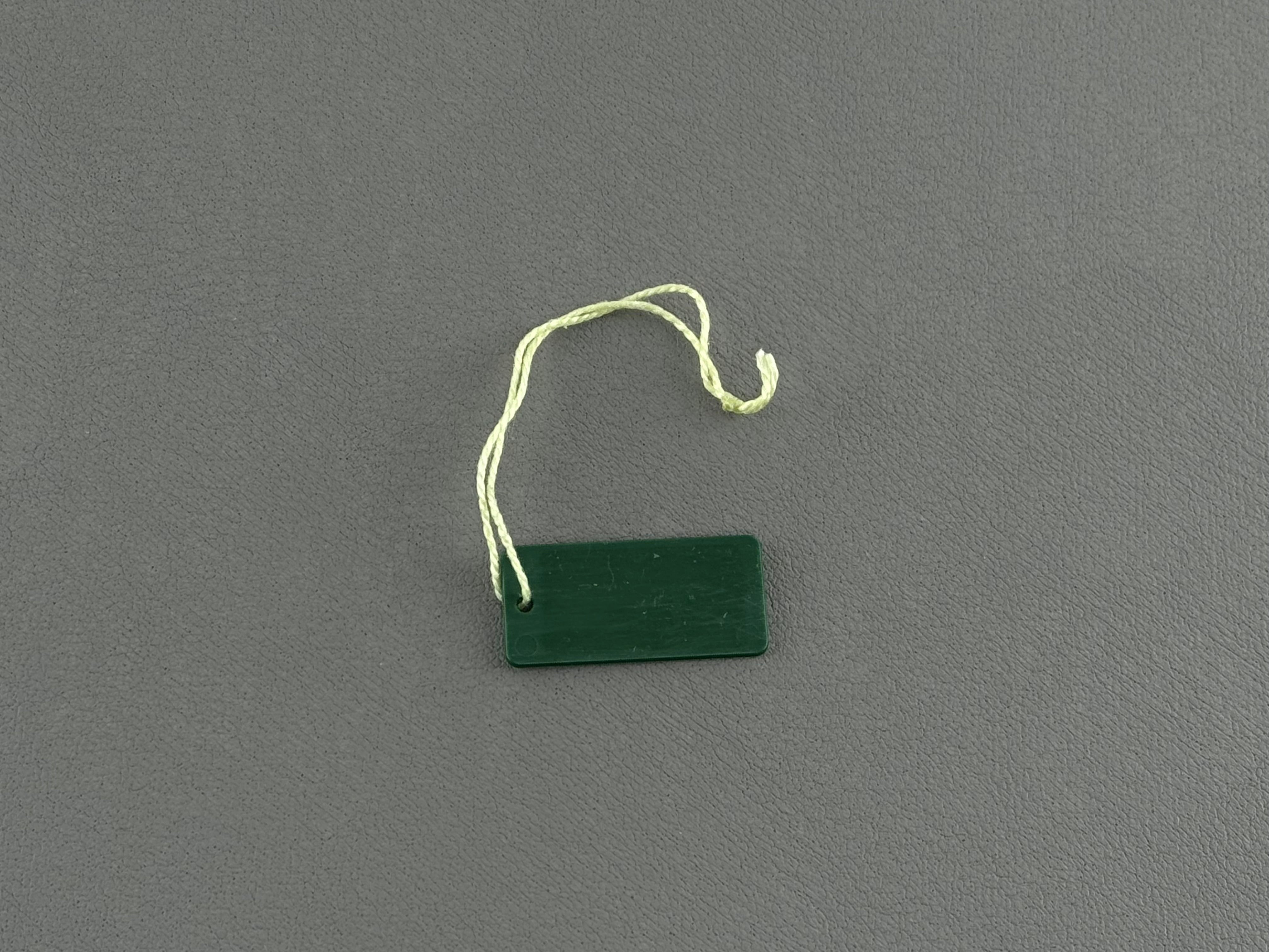 Rolex Oyster Swimpruf Hang Tag blank Green